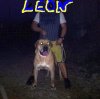 LEON L