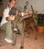JACHA DE RANCHO BRAVO