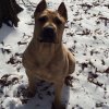 HOUSTON'S NALA
