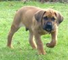 FULL ASLAN DES CONTES DE LOLA