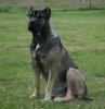 ZULA DE KING ZULU