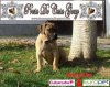 GARA PRESA DE CASA GOXY