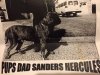SANDERS HERCULES