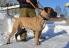 DEN SISTE GREVES FARGO EL FUERTE