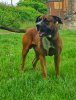 K-JAX EZEKIEL KYONIAN