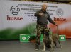 AGRESIA PERRO LOCO DE HIERRO