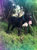 BACARAN DE BALDIO’S