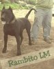 RAMBITO DE LINEA M