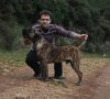 BATUR VALACHIADOG