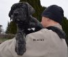 BLACKY