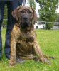 FOPHIE FAVIER DES CONTES DE LOLA