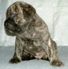 LENNOX