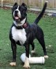 KALI