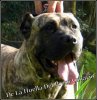 HEYWA DE LA HUELLA DEL PRESA CANARIO