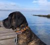 R'HULK DE LA HUELLA DEL PRESA CANARIO