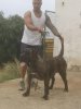 RETAMA DE AJODAR