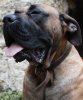 LORD KIMBO DES LUTTEURS D'ANTAN