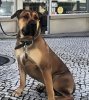 PACO