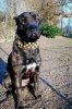 XENA DE LA LEGION