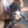 CRISTO DE KING ZULU