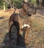 SAMSON