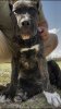 WHISKEY RIVER’S KENNA