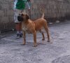 BRUMA DE ATAGACAN