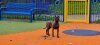 TARA PRESA GANG KENNEL