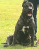 FLORA DELHAB KENNEL