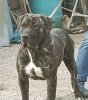 URKO DE KING ZULU
