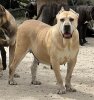 SAVINA DE KING ZULU