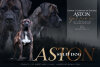 ASTON GOOD LAND (FCI)