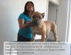 BRAVO KENNEL’S CHIQUITA