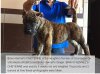 BRAVO KENNEL’S CHEYENNE