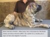 BRAVO KENNEL’S CHAGO