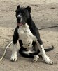 VATIKA DE KING ZULU