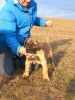 A-ZENGA DARIA PRESA CANARIO