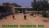 KENDRA DE PATARATA RIO