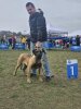 C-TRANSILVANIA DARIA PRESA CANARIO