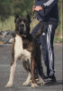 KYRON DE SPARTA WILDBOYZ