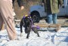 DASH UWP LYKAIOS NO JUSTICE ON SUNDAY