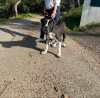NALA DA CASA CAMARINHA
