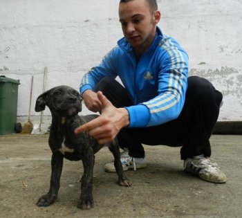 GRINGA DE IRON BULL