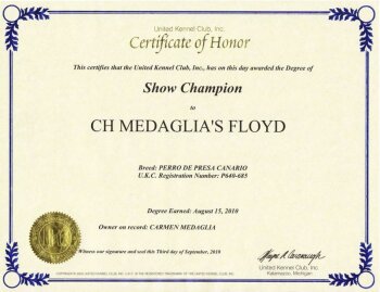 MEDAGLIA’S FLOYD