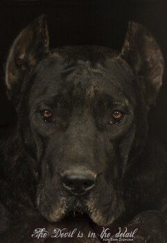 LA LOLA DE REY GLADIADOR