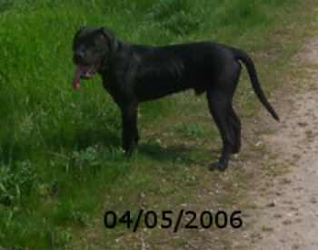 TROY J7