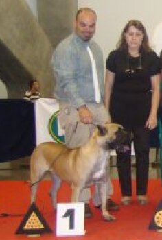 NARA DE GUADANETH