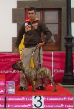 MARA DE CIELO DE CANARIAS