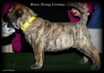 BRAVE STRONG CORINNA