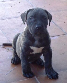 LOMU